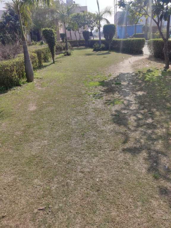 eco city homes Landscape Garden and Tree Planting