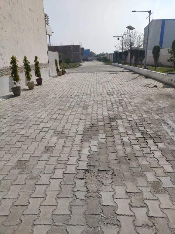 eco city homes Landscape Garden and Tree Planting