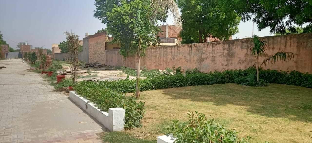 green villas ii Landscape Garden and Tree Planting