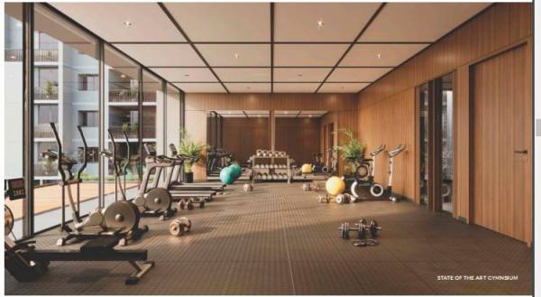  binori-aarna Gymnasium