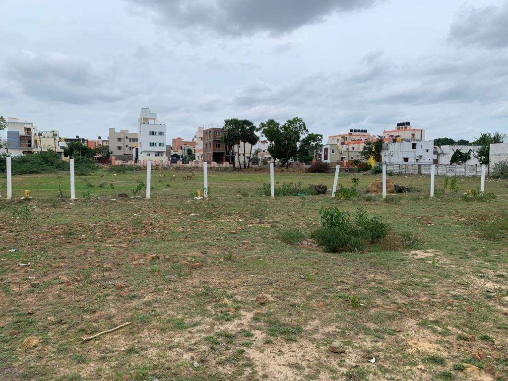 apple city Elevation