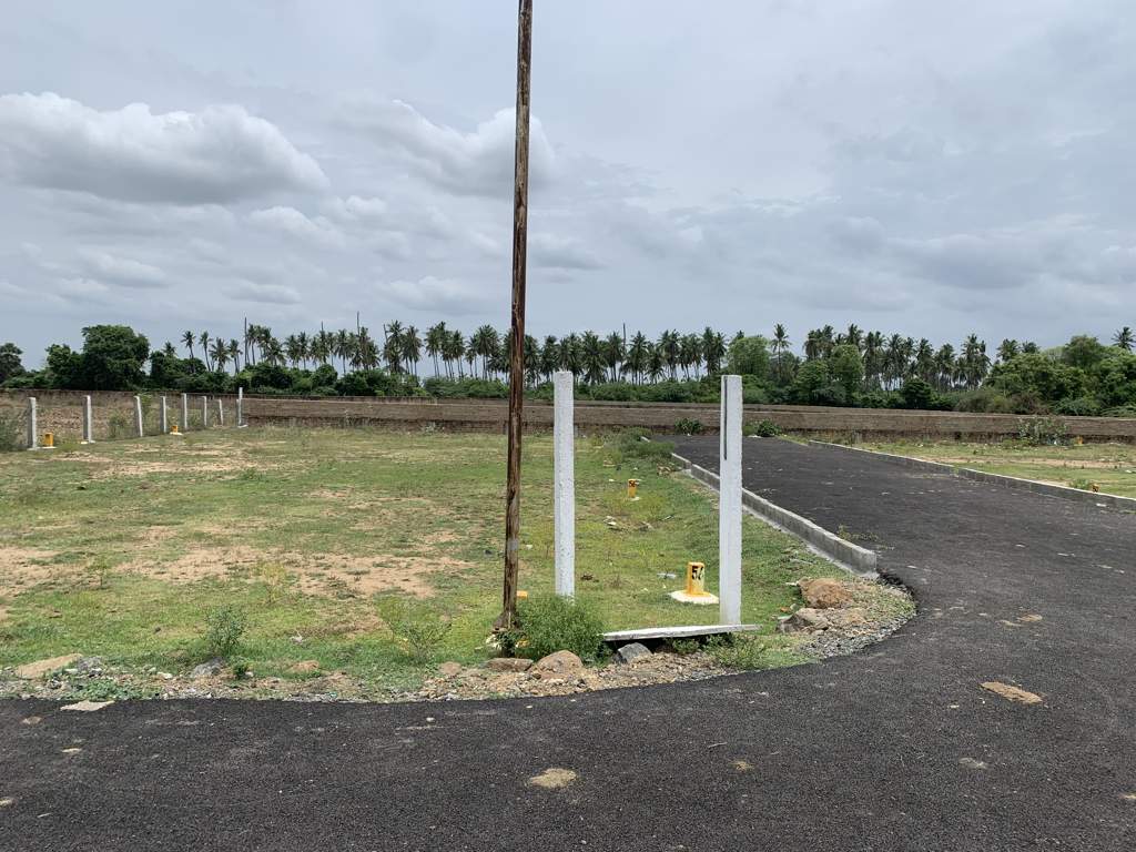  apple city Plot