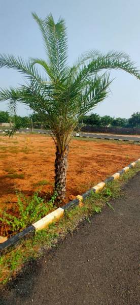  shanmuga-nagar Internal Roads