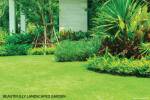 Landscape Garden and Tree Planting sohan Landscape Garden and Tree Planting