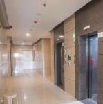  nexzone-bodhi-2 Others