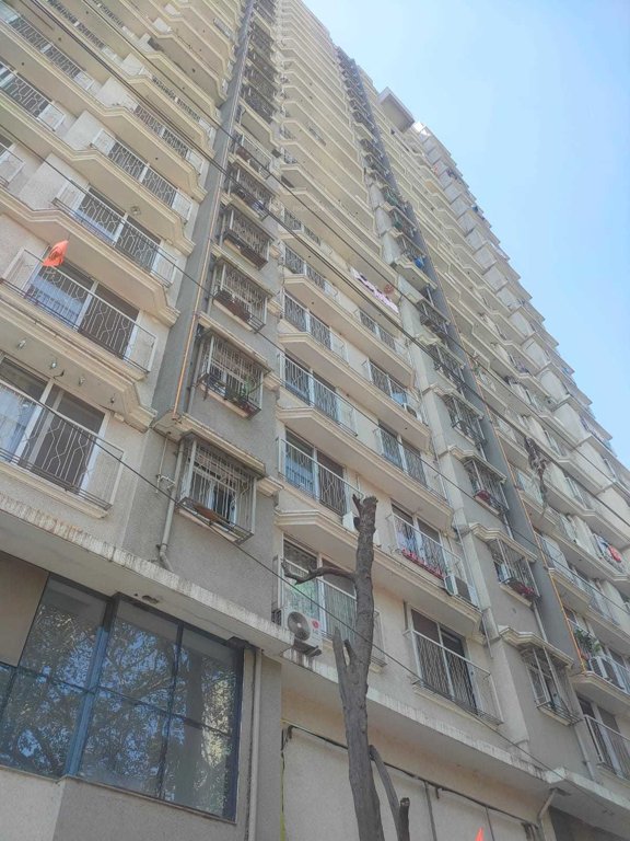  royal stone Elevation