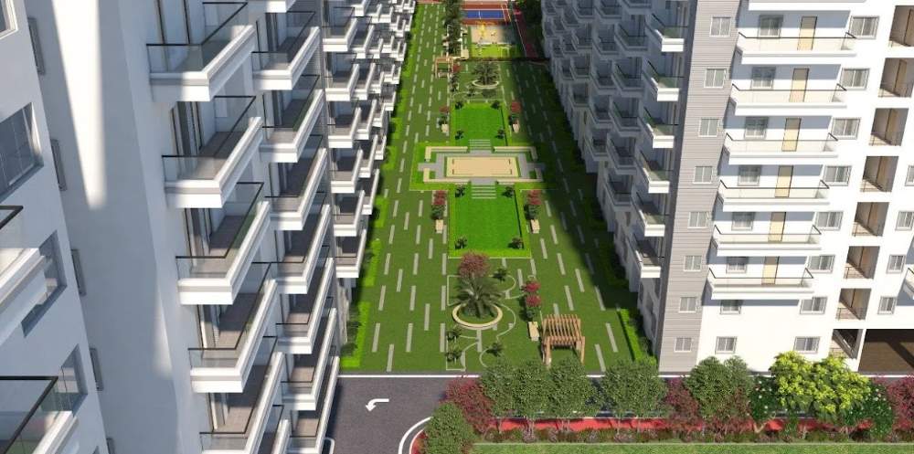  cyan Landscape Garden and Tree Planting