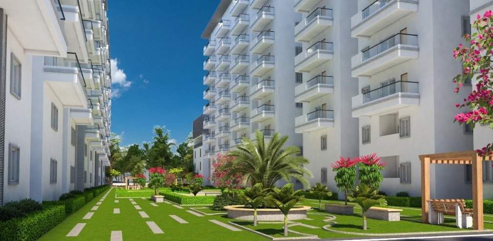  cyan Senior Citizen Sitout