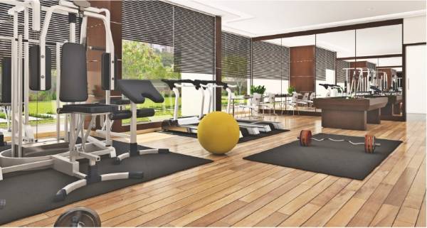  shypram-sky Gymnasium