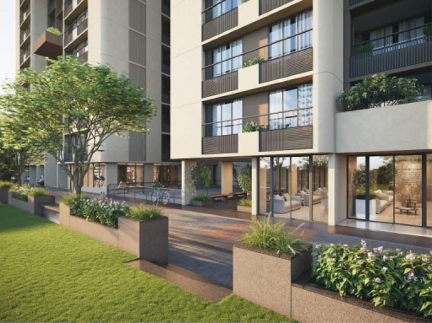  shypram sky Landscape Garden and Tree Planting