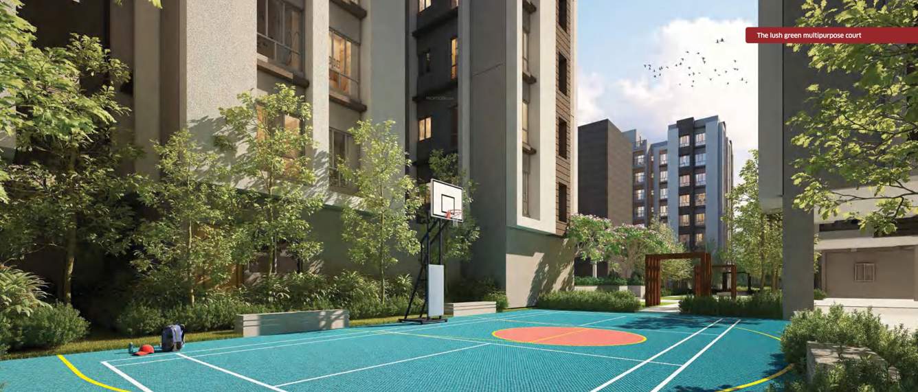  eternia Basketball Court