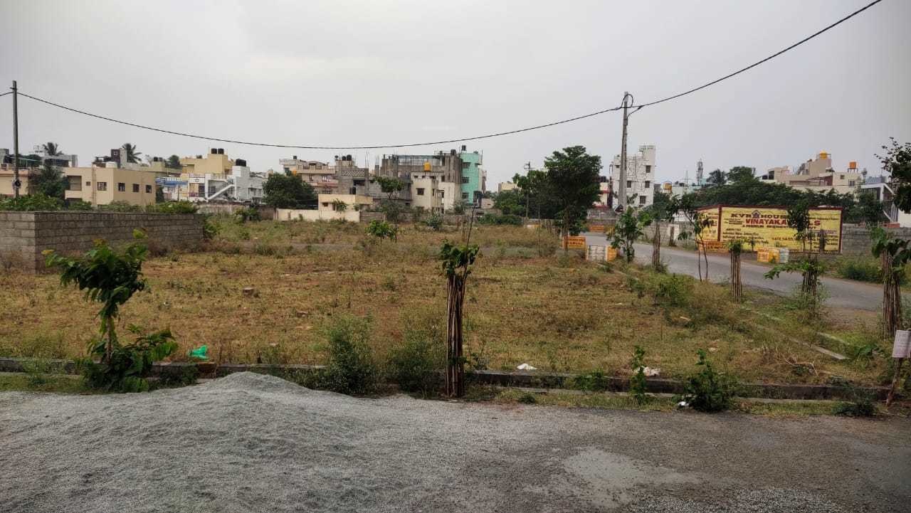  vinayaka hills Elevation