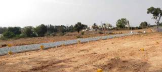 Project Image Project Image