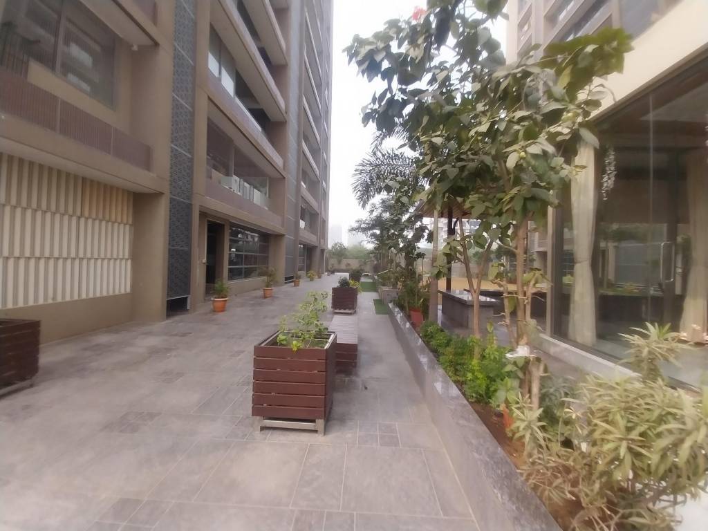 grace 3 Senior Citizen Sitout