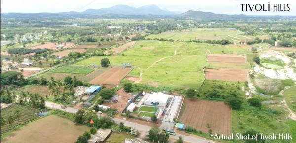  tivoli-hills Elevation