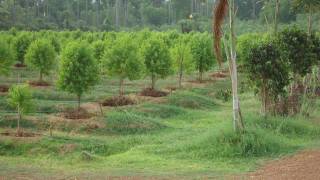 Project Image Project Image