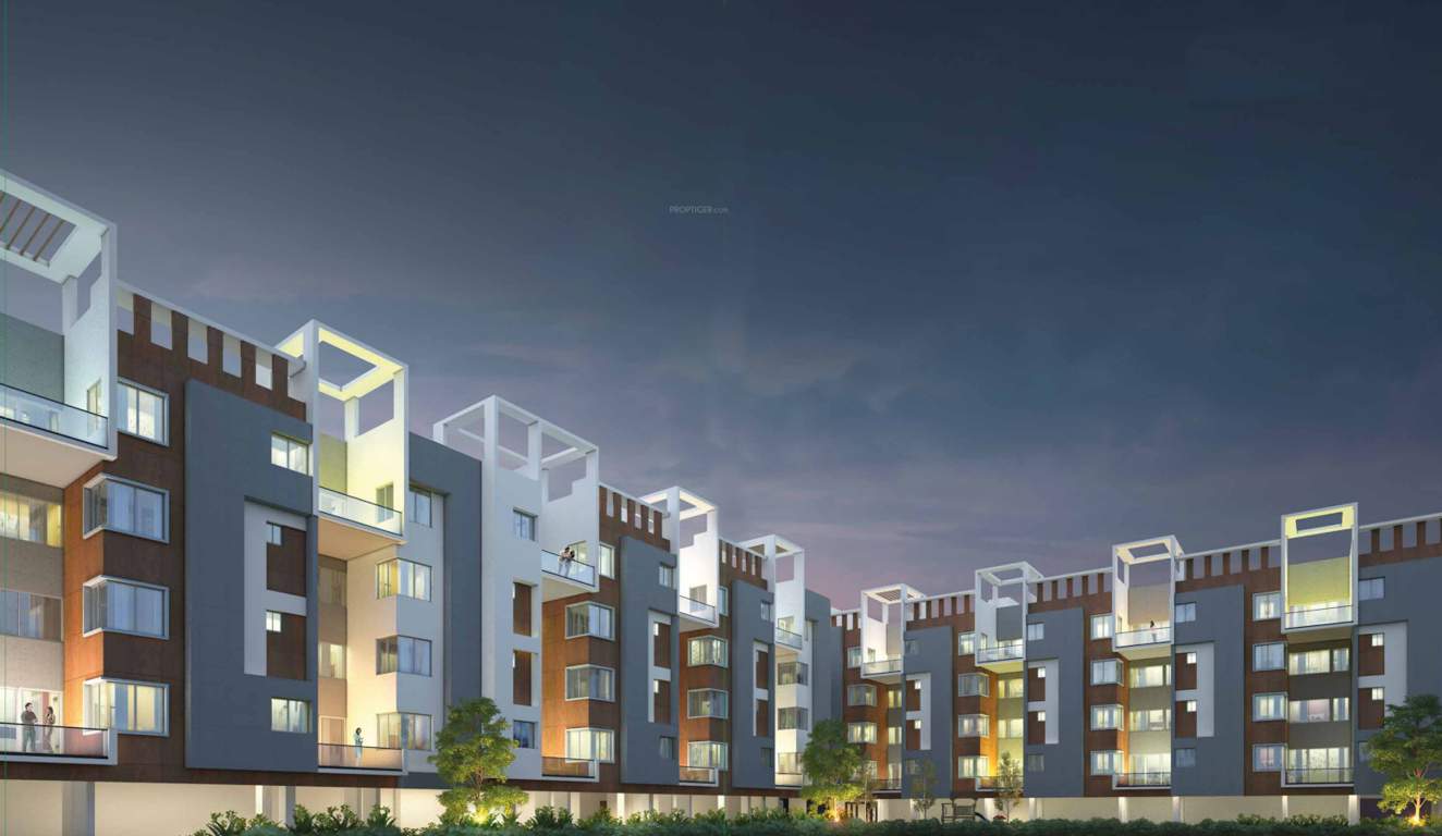  the levelz Elevation