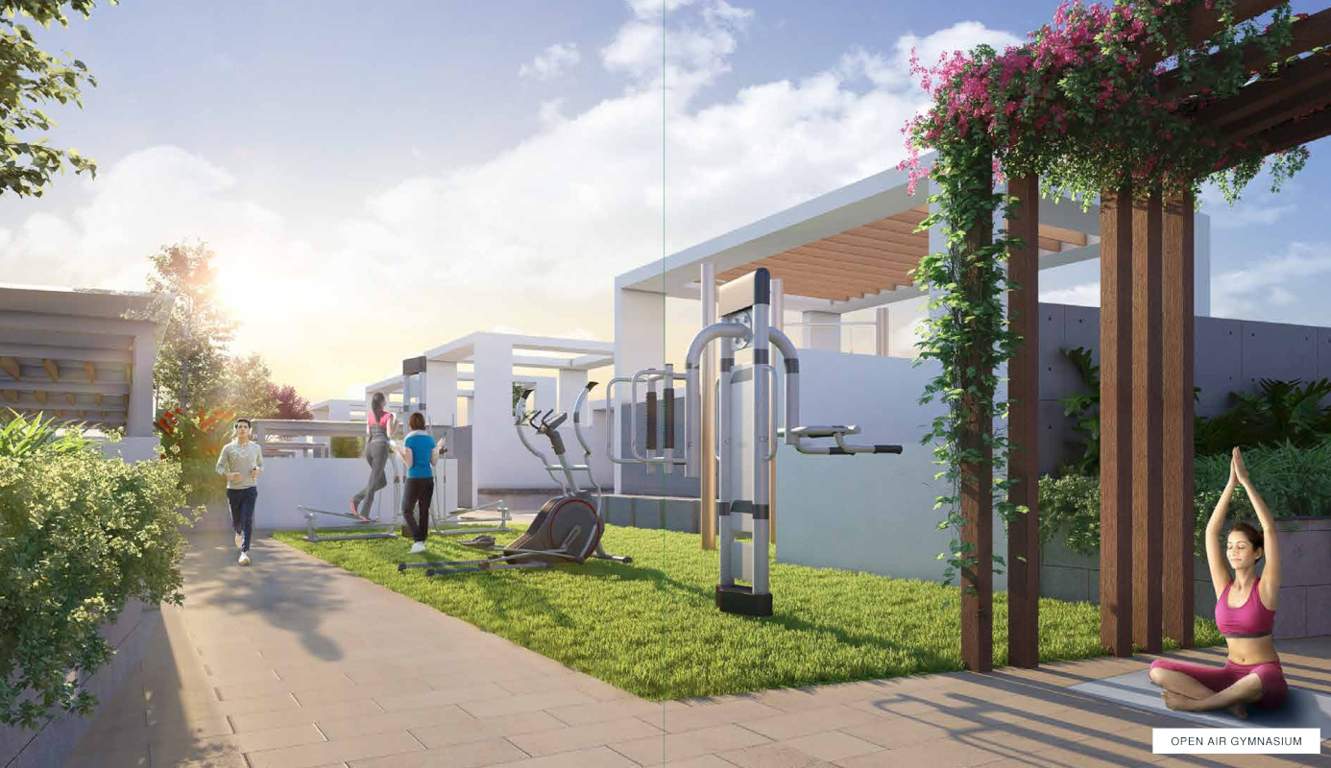  the levelz Gymnasium