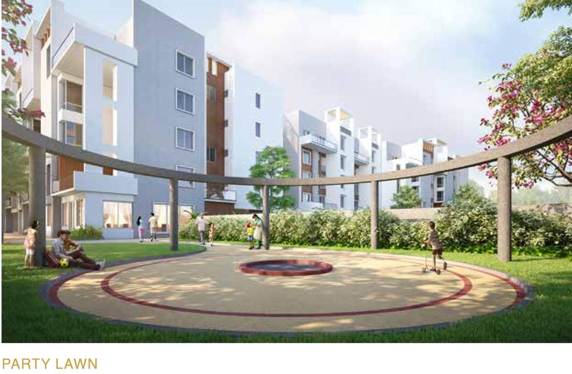  the levelz Party Lawn