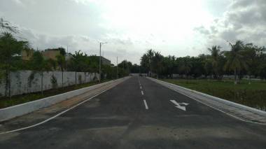  the-orchid Elevation