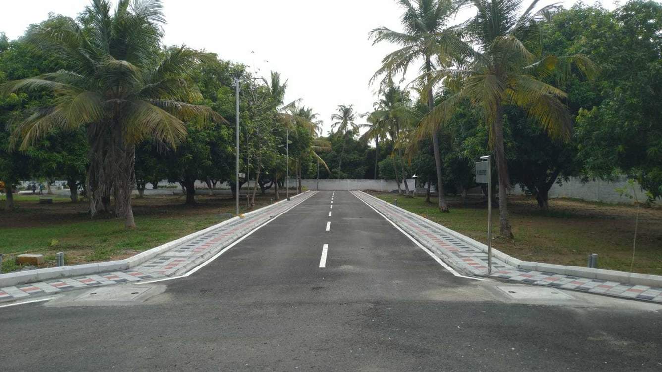  the orchid Plot