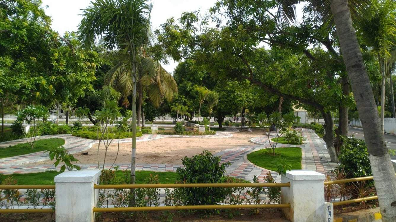  the orchid Plot