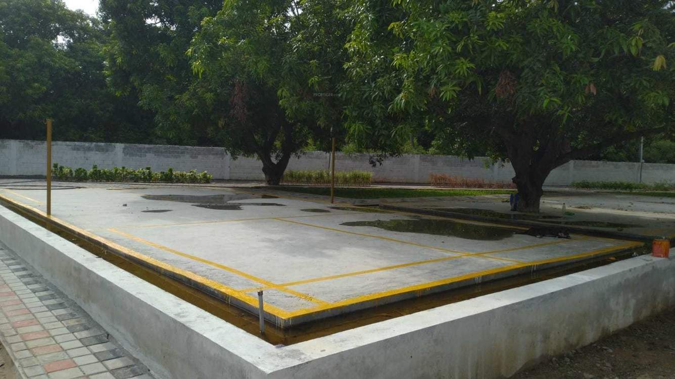  the orchid Plot