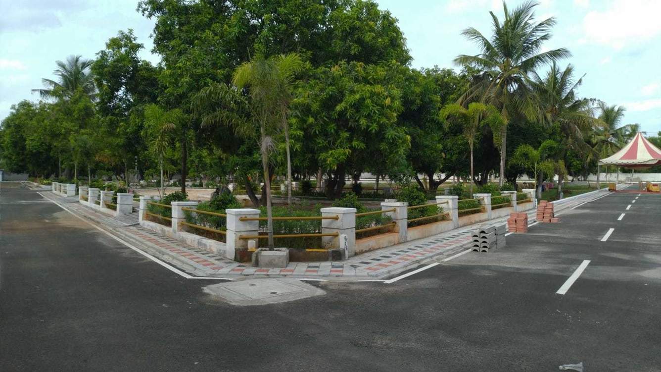  the orchid Plot