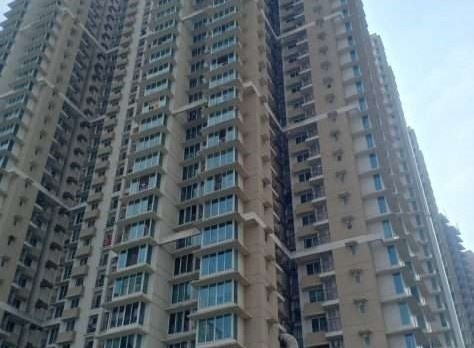  nexzone bodhi Construction Status Oct 21