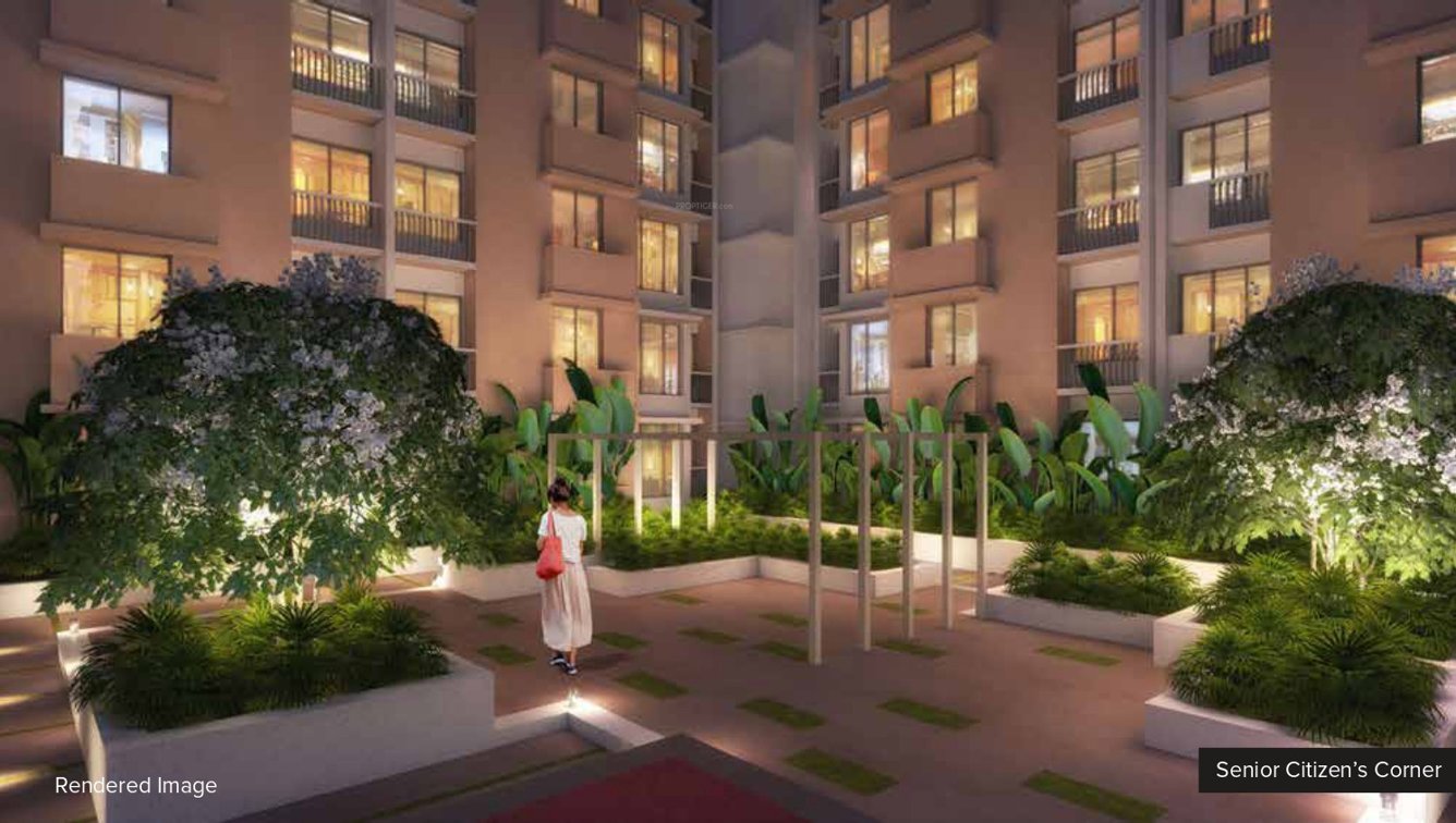  nexzone bodhi Senior Citizen Siteout