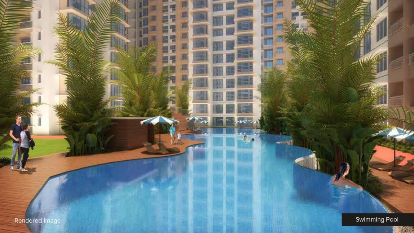  nexzone bodhi Swimming Pool