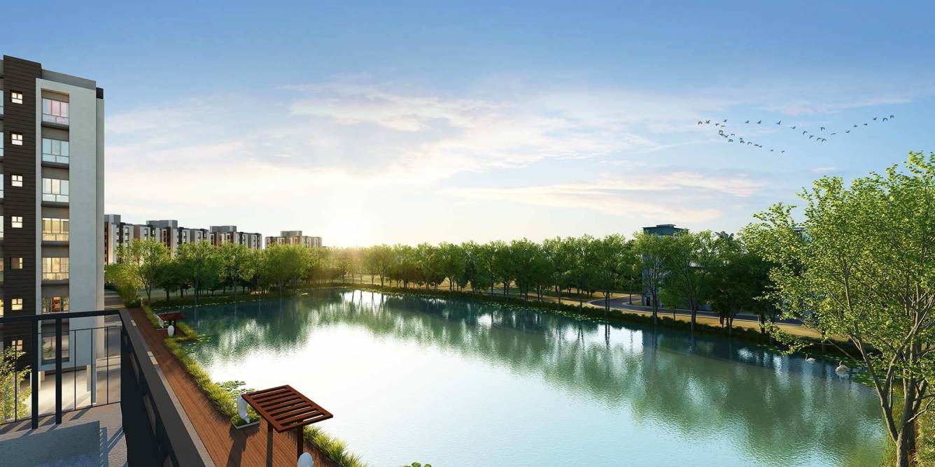  eternia phase 3 Others