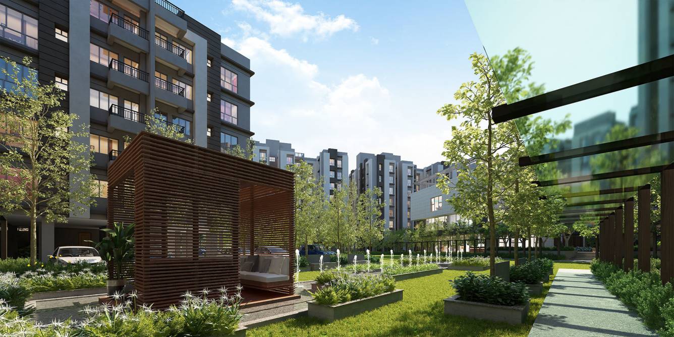  eternia phase 3 Others