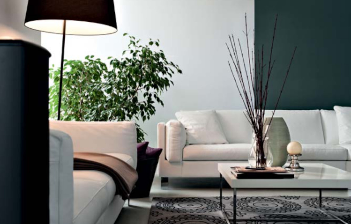  nikoo home 4 Living Area