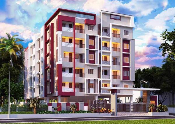 Elevation carnival Elevation