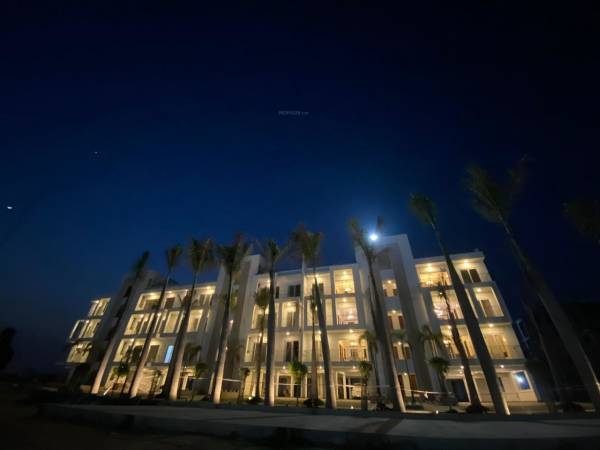 main of Ace Palm Floors Apartment