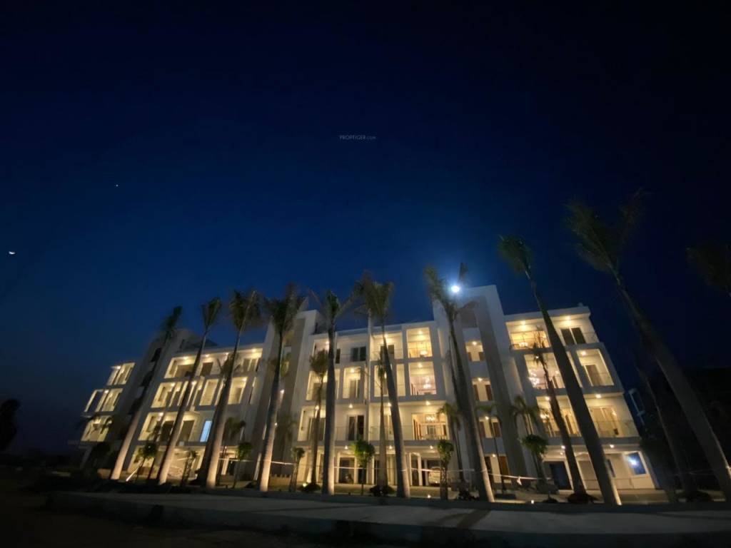 Ace Palm Floors Apartment