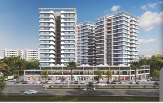 Project Image Project Image