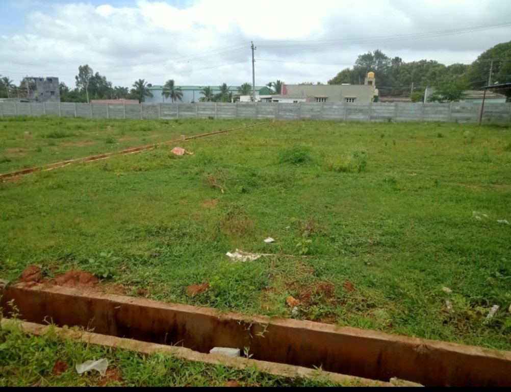  green nest residency Plot