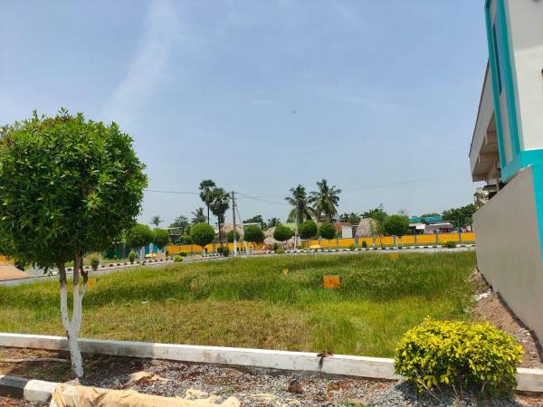 Elevation fortune-legendary Elevation