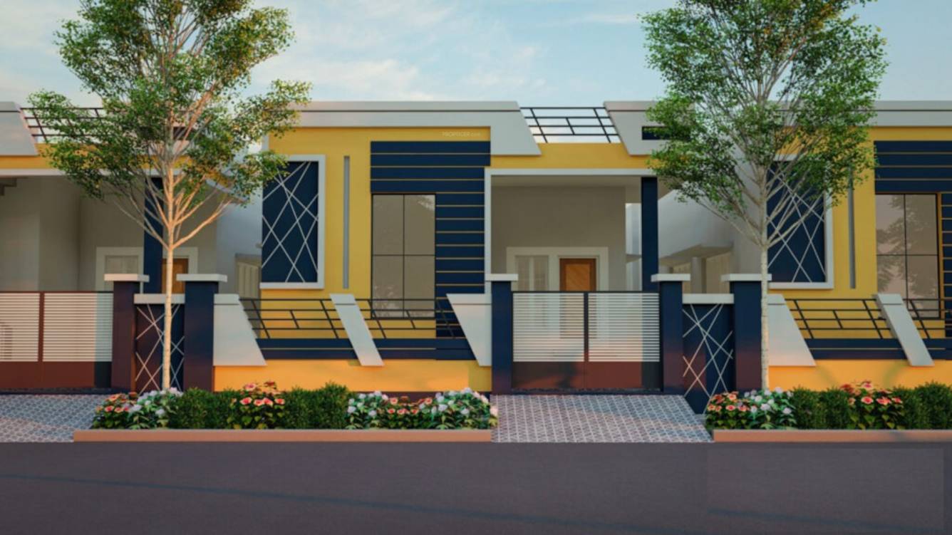  fortune legendary Elevation