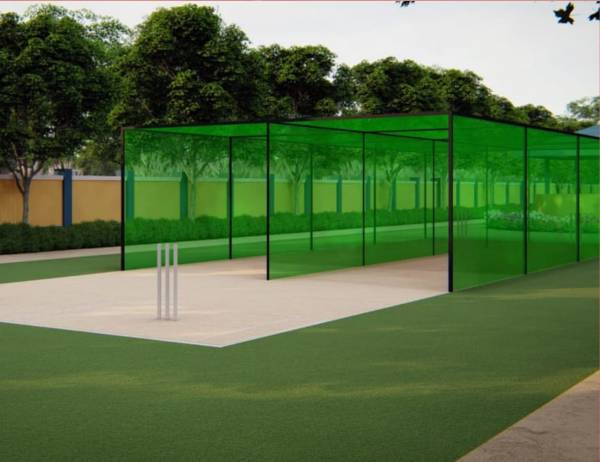 Cricket Pitch fortune-legendary Cricket Pitch