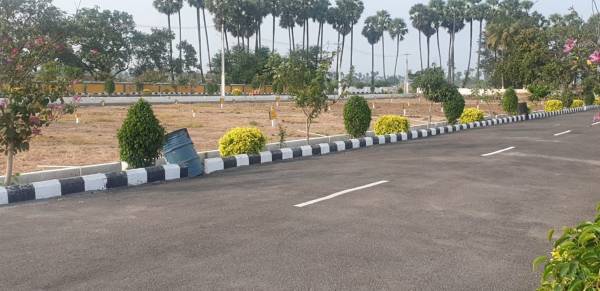 Internal Roads fortune-legendary Internal Roads