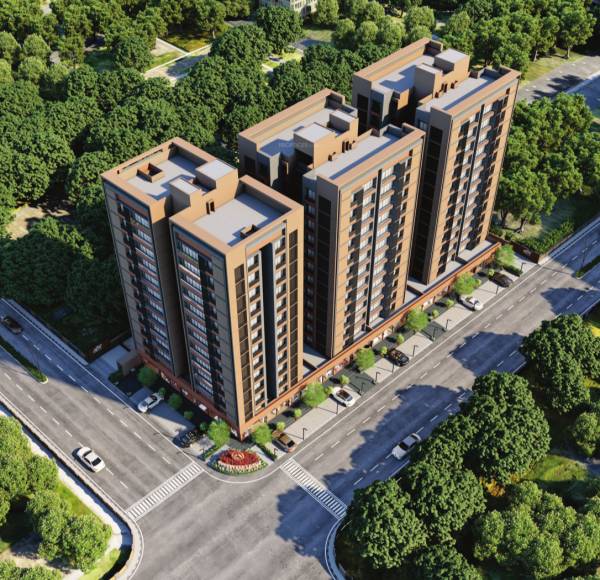 Elevation lotus Elevation