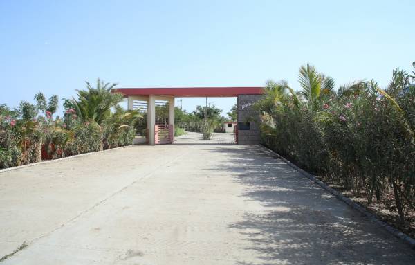  balaji-dream-city Elevation