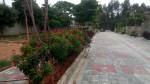 Landscape Garden and Tree Planting devlok Landscape Garden and Tree Planting