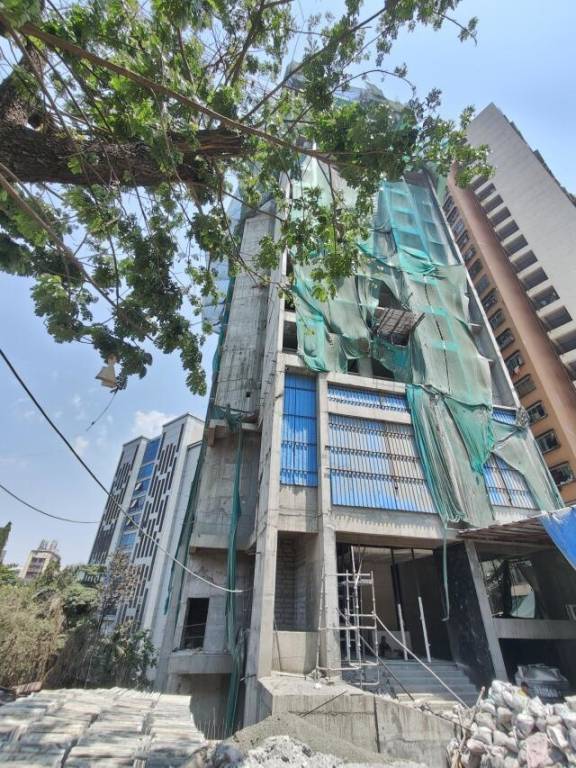 Agarwal Floresta Maple