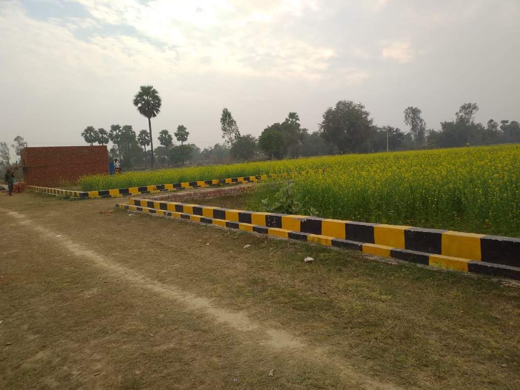  royal greens Plot