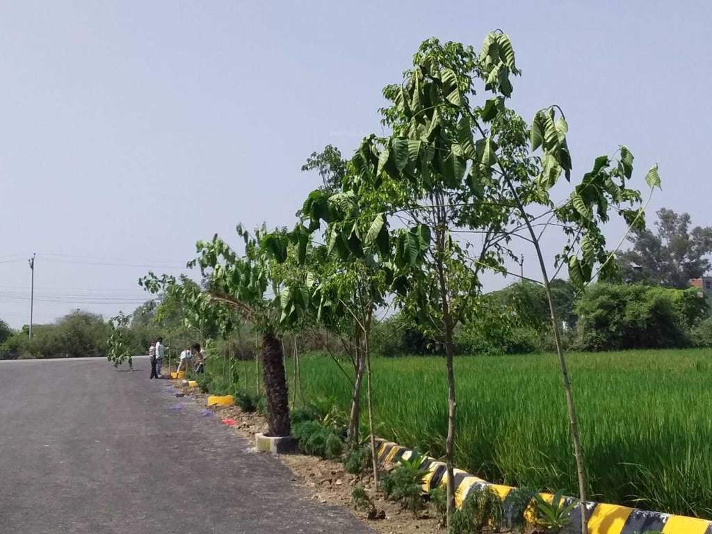  ashirwad enclave phase 2 Internal Roads