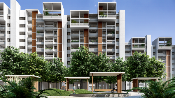  wonderwall Elevation